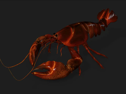 Lagosta-A1 Modelo 3D