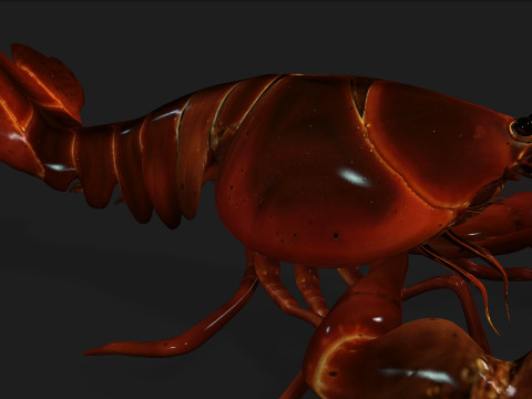 LobsterA1 Modelo 3D