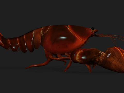 LobsterA1 Modelo 3D