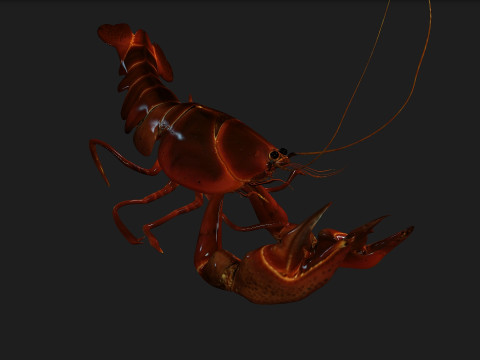 LobsterA1 Modelo 3D
