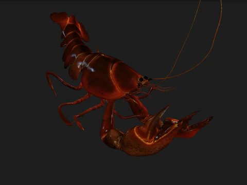 Lagosta-A1 Modelo 3D