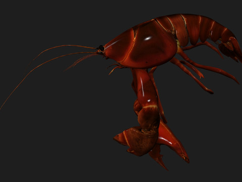 LobsterA1 Modelo 3D