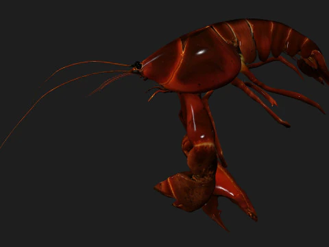 Lagosta-A1 Modelo 3D