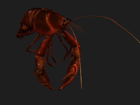 LobsterA1 Modelo 3D