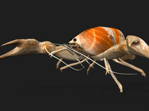 LobsterA2 3D Model