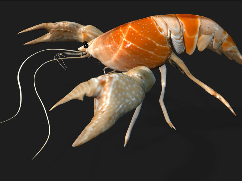 LobsterA2 3D Model