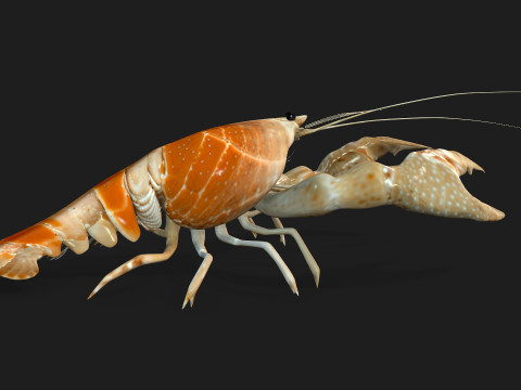 LobsterA2 3D Model