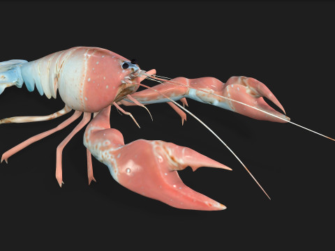 LobsterA3 Modelo 3D