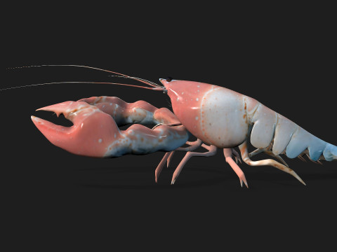 LobsterA3 Modelo 3D