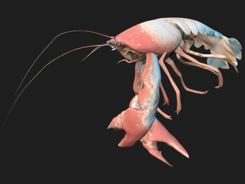 Aragosta-A3 Modello 3D