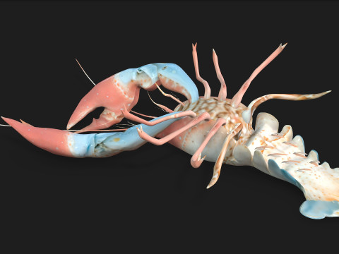 LobsterA3 Modelo 3D