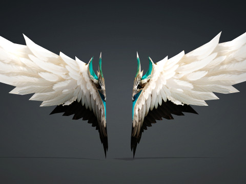 Wing-A12345 Modello 3D