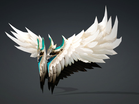 Wing-A12345 Modello 3D