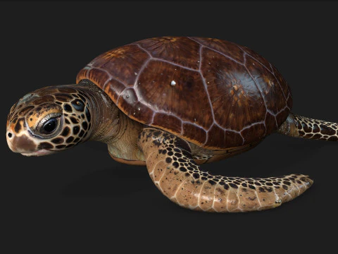 Черепаха-А1 3D Модель