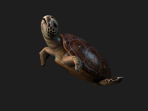 Черепаха-А1 3D Модель