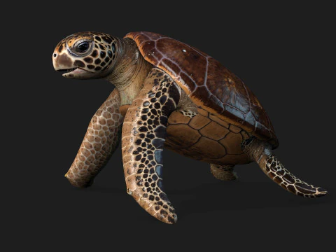 Черепаха-А1 3D Модель