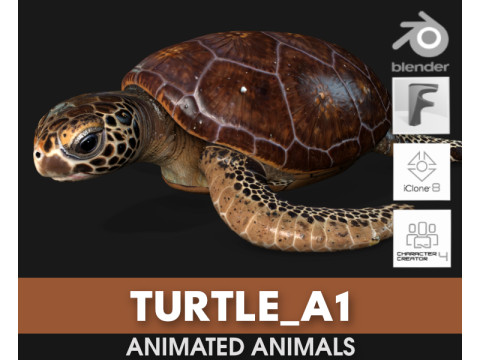 TurtleA1 3D 模型