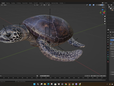TurtleA2 3D Модель