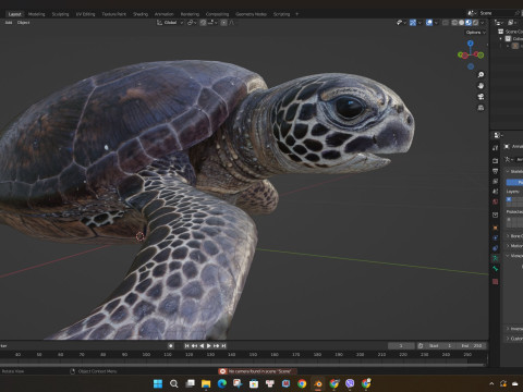 TurtleA2 3D Модель