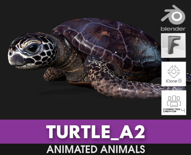 TurtleA2 3D Модель .c4d .max .obj .3ds .fbx .stl .blend