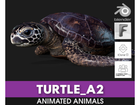 TurtleA2 3D Модель