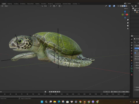 Turtle-A3 3D Model