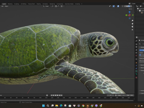 TurtleA3 3D Model