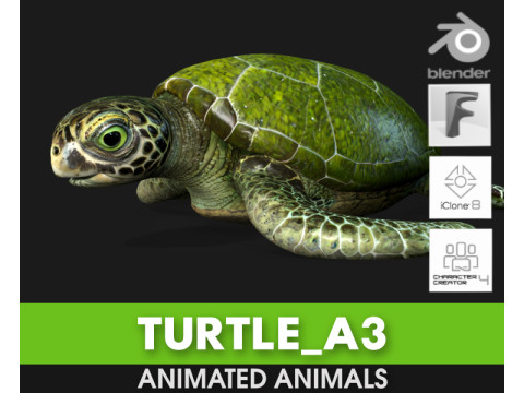 TurtleA3 3D Model