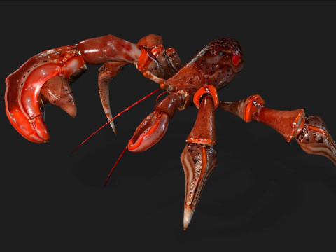 CrabA1 Model 3D