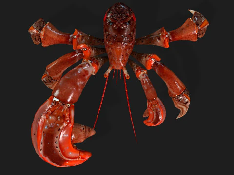 GranchioA1 Modello 3D