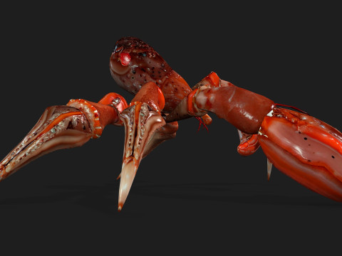 CrabA1 Model 3D