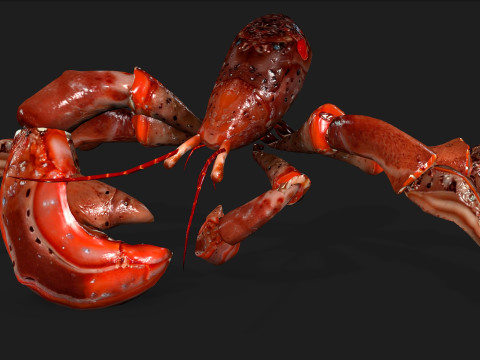 CrabA1 Model 3D