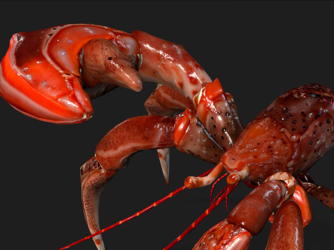 CrabA1 Model 3D