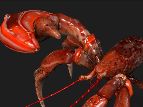 GranchioA1 Modello 3D