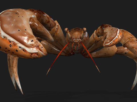 CrabA2 Modelo 3D