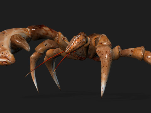 CrabA2 Modelo 3D