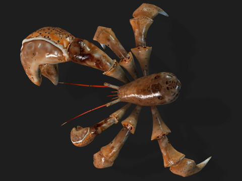 CrabA2 Modelo 3D
