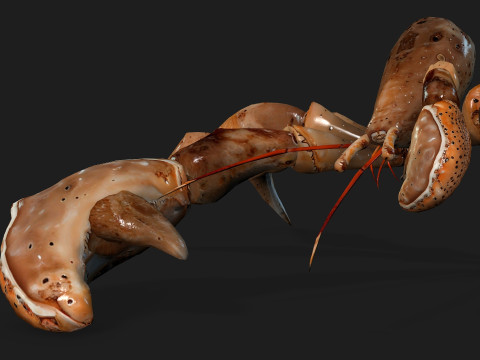 CrabA2 Modelo 3D