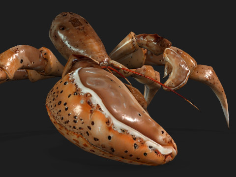 CrabA2 Modelo 3D