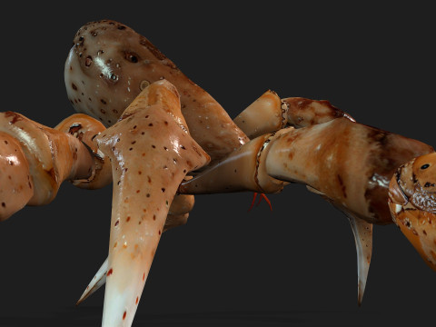 CrabA2 Modelo 3D
