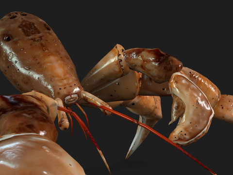 CrabA2 Modelo 3D