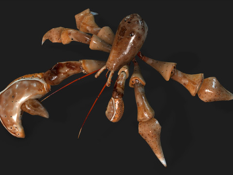 CrabA2 Modelo 3D