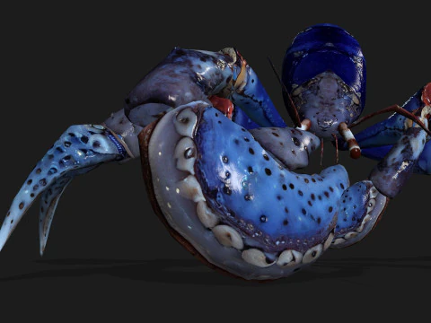 GranchioA3 Modello 3D