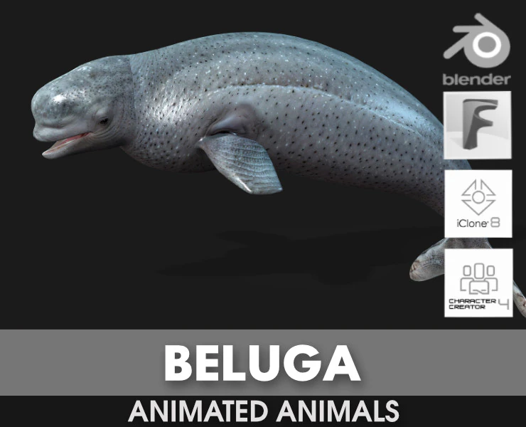 Beluga 3D Model .c4d .max .obj .3ds .fbx .stl .blend 