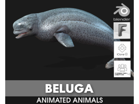 Beluga Modèle 3D
