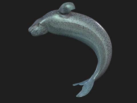 Beluga 3D Model