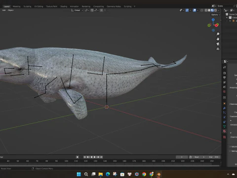 Beluga 3D Model