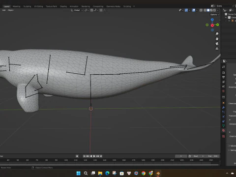 Beluga 3D Model