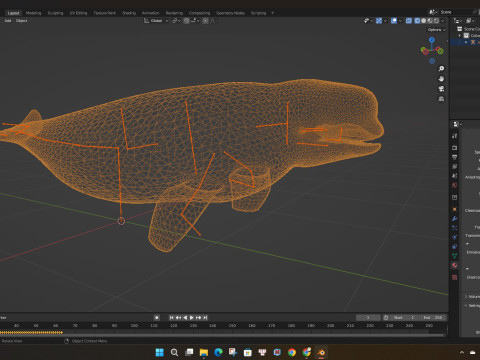 Beluga 3D Модель