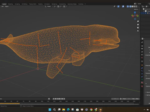 Beluga 3D Model